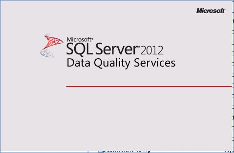SQL Server 2012- Data Quality Services